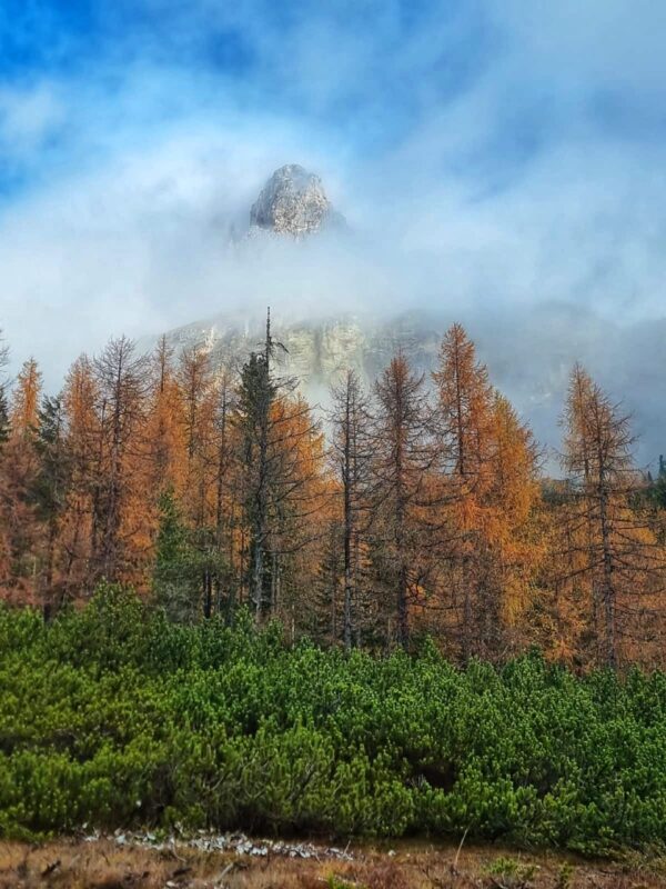 Tour of Lakes of Dolomites - immagine 4