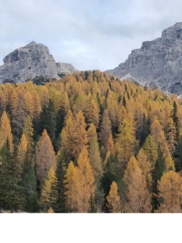 The best of Dolomites - immagine 3